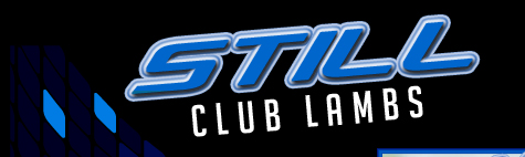 Still Club Lambs