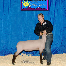 Still Club Lambs
