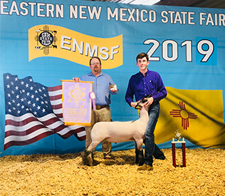 Still Club Lambs Winners